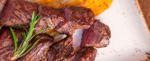 comtech vándorgyűlés vacsora